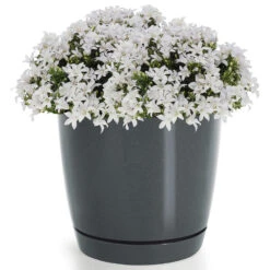 Prosperplast Plantenpot/bloempot - Kunststof - Antraciet - D21 X H19 Cm -Groene Hoek 1739c7d89818494b81cda862d1dd5f77