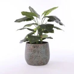 Mica Decorations Clemente Bloempot H31 X Ø38 Cm -Groene Hoek 1787814971 0111