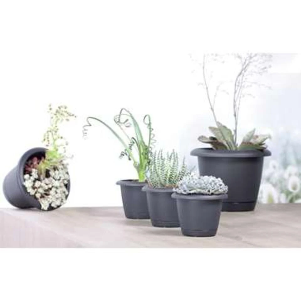 Prosperplast Prosperplats Bloempot - Antraciet - Kunststof - 39 Cm 4 Prosperplast Prosperplats Bloempot - Antraciet - Kunststof - 39 Cm - Afbeelding 2