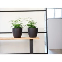 Steege Bloempot - Zwart - Scandinavische Look - Keramiek - 18 X 16 Cm 5 Steege Bloempot - Zwart - Scandinavische Look - Keramiek - 18 X 16 Cm -Groene Hoek 26edd7755022429c87962aa4b4b45b6f