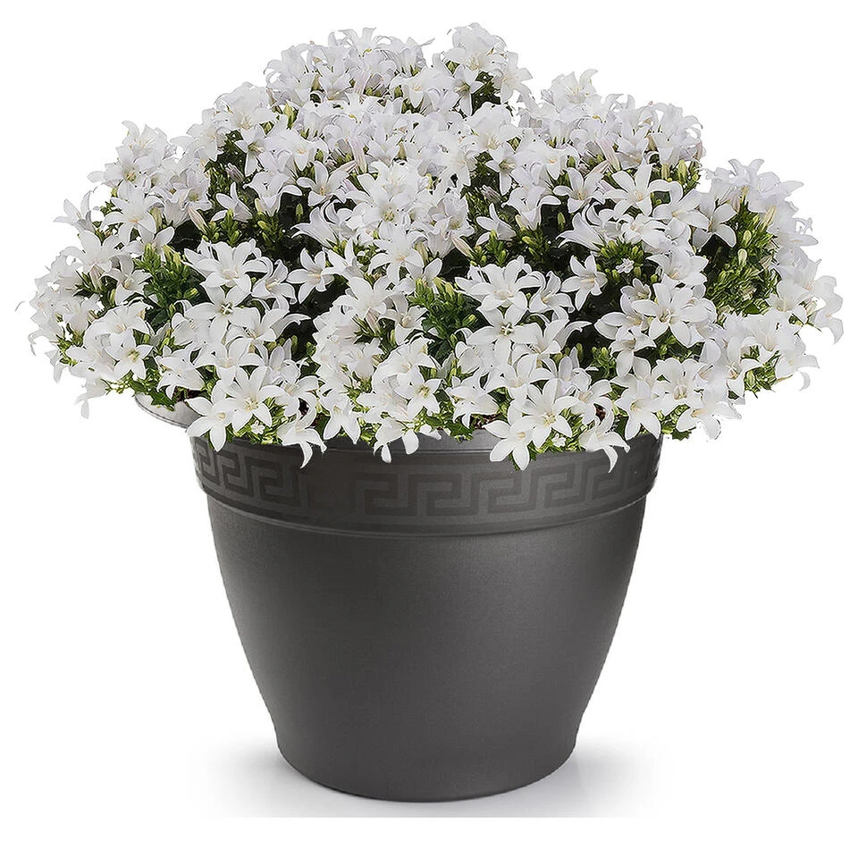 Forte Plastics Plantenpot - Kunststof - Antraciet - 40 Cm 4 Forte Plastics Plantenpot - Kunststof - Antraciet - 40 Cm - Afbeelding 2