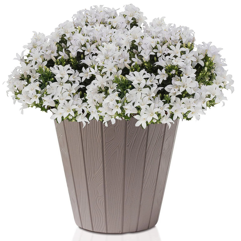 Prosperplast Bloempot - Hout Look - Beige - Kunststof - D40 Cm 4 Prosperplast Bloempot - Hout Look - Beige - Kunststof - D40 Cm - Afbeelding 2