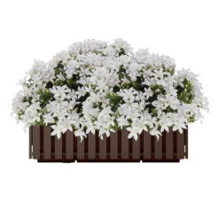 Prosperplast Plantenbak - Kunststof - 58 X 18 X 16 Cm - Houtbruin -Groene Hoek 2c2d6bfe148343a8941e9701cd6a0fa3