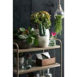 Mica Decorations Bloempot - Glanzend Groen - Keramiek - 14 X 12 Cm -Groene Hoek 2d714e70ab494de991f24c9e014d7c45