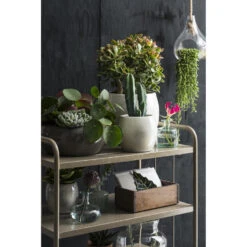 Mica Decorations Bloempot - Lichtgrijs - Keramiek - 33 X 31 Cm -Groene Hoek 2dd0f4a5935a4eb480f3712ed6e706c6