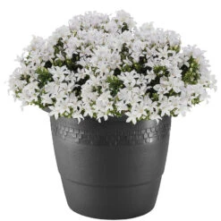 Hega Hogar Bloempot - Antraciet - Kunststof - Sierrand - 30 Cm 6 Hega Hogar Bloempot - Antraciet - Kunststof - Sierrand - 30 Cm -Groene Hoek 2e67c6d1945b4894ae2c2eaecfbcd54a