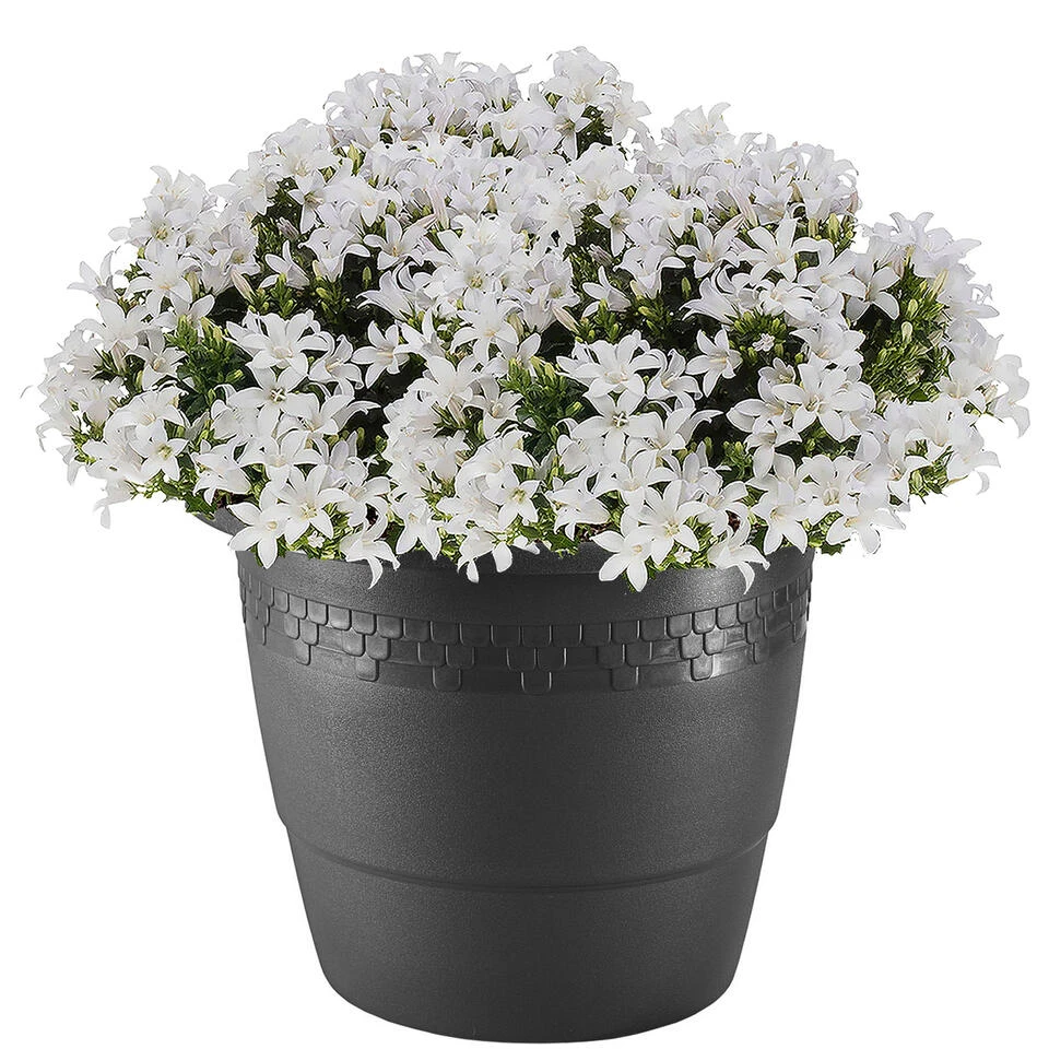 Hega Hogar Bloempot - Antraciet - Kunststof - Sierrand - 30 Cm 4 Hega Hogar Bloempot - Antraciet - Kunststof - Sierrand - 30 Cm - Afbeelding 2