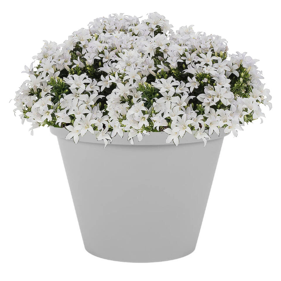 EDA Bloempot - Toscane - Grijs - Kunststof - D20 X H17 Cm - 3 Liter 4 EDA Bloempot - Toscane - Grijs - Kunststof - D20 X H17 Cm - 3 Liter - Afbeelding 2