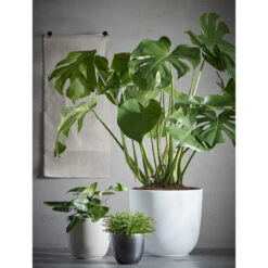 Mica Decorations Plantenpot - Antraciet Grijs - Keramiek - 11 X 12 Cm -Groene Hoek 3430f478b9b74708b266aac74ea33bfa