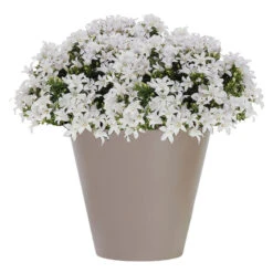 Prosperplast Plantenpot - Taupe - Kunststof - 25 X 23 Cm -Groene Hoek 3677e0e538af4a10a2175b7a5d53cb58