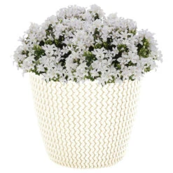 Prosperplast Plantenpot/bloempot - Kunststof - Creme - D30 X H25 Cm 5 Prosperplast Plantenpot/bloempot - Kunststof - Creme - D30 X H25 Cm -Groene Hoek 37a088b07c6c482fa3eed6a0eb492f1a