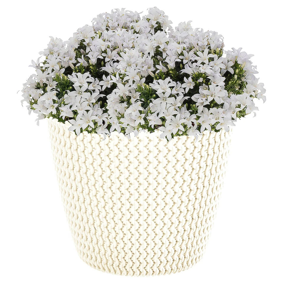 Prosperplast Plantenpot/bloempot - Kunststof - Creme - D30 X H25 Cm 4 Prosperplast Plantenpot/bloempot - Kunststof - Creme - D30 X H25 Cm - Afbeelding 2