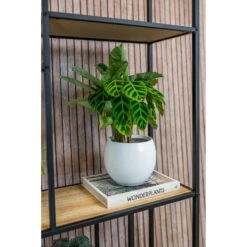 Steege Plantenpot - Wit - Modern Design - 19 X 16 Cm 8 Steege Plantenpot - Wit - Modern Design - 19 X 16 Cm -Groene Hoek 3bddc3b1740e45cbb789ca4c69bca59f