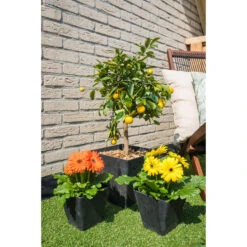 Steege Plantenbak - Vierkant - Gerecycled Kunststof - Zwart - 15 Cm -Groene Hoek 3dd7c36ebb484ffd8c2d7d1f7eda8aaf
