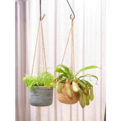 Steege Plantenpot - Hangend - Zeegras - 19 X 17 Cm 6 Steege Plantenpot - Hangend - Zeegras - 19 X 17 Cm -Groene Hoek 3fb322aa488e412eb826bf9f346e5521
