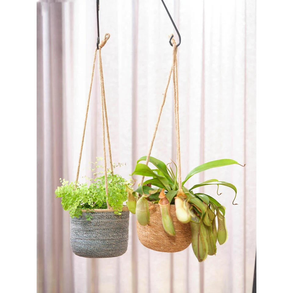Steege Plantenpot - Hangend - Zeegras - 19 X 17 Cm 4 Steege Plantenpot - Hangend - Zeegras - 19 X 17 Cm - Afbeelding 2