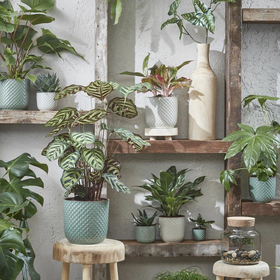 Mica Decorations - Plantenpot-bloempot - Keramiek Wit - D12 X H11 Cm 4 Mica Decorations - Plantenpot-bloempot - Keramiek Wit - D12 X H11 Cm - Afbeelding 2