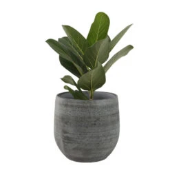 Steege Plantenpot - Design Look - Grijs - 18 X 16 Cm 5 Steege Plantenpot - Design Look - Grijs - 18 X 16 Cm -Groene Hoek 41f3bd6e971349289723375d4122e1c8