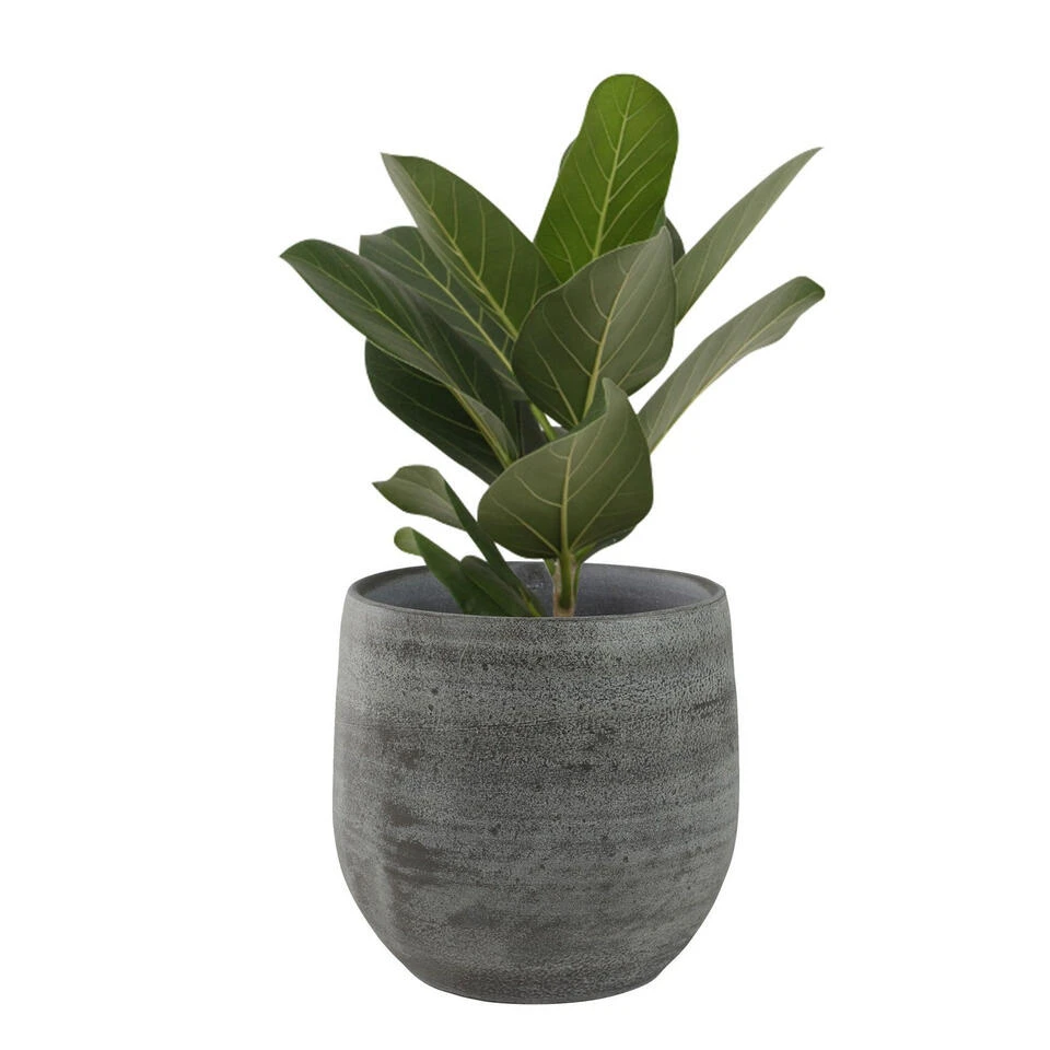 Steege Plantenpot - Design Look - Grijs - 18 X 16 Cm 4 Steege Plantenpot - Design Look - Grijs - 18 X 16 Cm - Afbeelding 2