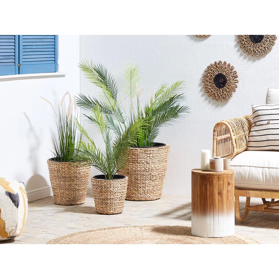 Beliani Bloem- En Plantenpotten PLAKA - Beige Waterhyacinth 4 Beliani Bloem- En Plantenpotten PLAKA - Beige Waterhyacinth - Afbeelding 2