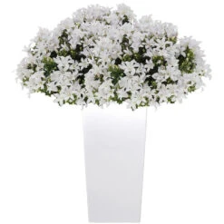 Prosperplast Bloempot Urbi - Wit - Buiten - Kunststof - 32 X 61 Cm 5 Prosperplast Bloempot Urbi - Wit - Buiten - Kunststof - 32 X 61 Cm -Groene Hoek 45c8f0e8d11e4cbdb1cb89dced7c761f