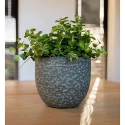 Steege Plantenpot Rinca - Groen - Lava Look - 17 X 15 Cm -Groene Hoek 48cb4922006a4ae9a6f5d5706070a68f