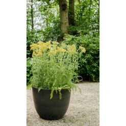 Ter Steege Plantenpot - Zwart - Kunststof - 33 X 29 Cm -Groene Hoek 492abbd7a4834e0e8fa4ad2166c318c8