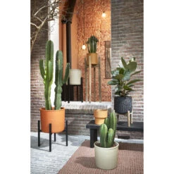 Mica Decorations Momo Bloempot - H25 X Ø28 Cm - Taupe -Groene Hoek 4e7c438d5cb74f519989786ffb9bd834