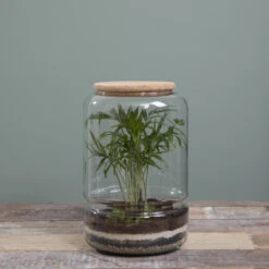 Mica Decorations Elements Terrarium -Groene Hoek 4e841e3249de43e882fa11a4f150be3d