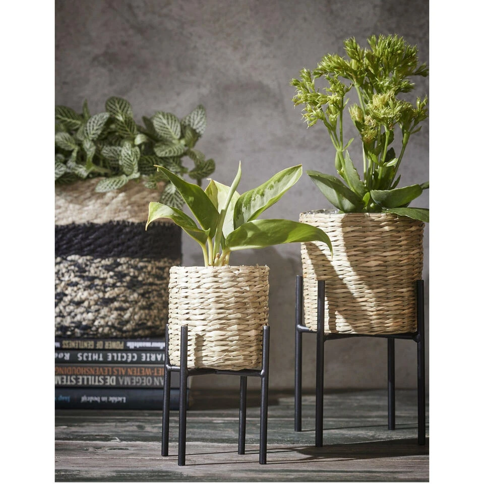 Mica Decorations Plantenstandaard - Verhoger - Zwart - H25 X B14 Cm 6 Mica Decorations Plantenstandaard - Verhoger - Zwart - H25 X B14 Cm - Afbeelding 4