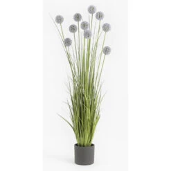 Mica Decorations Bloempot - Donkergrijs - Mat - Keramiek - 28 X 26 Cm -Groene Hoek 5495372a3e9f4737a8fb6451d22fd7a1 1