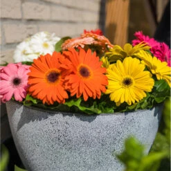 Ter Steege Bloempot/plantenpot - Buiten - Betongrijs - D13/H12 Cm 5 Ter Steege Bloempot/plantenpot - Buiten - Betongrijs - D13/H12 Cm -Groene Hoek 5c9ebcdcafe44e6a87bddb8be9f90807