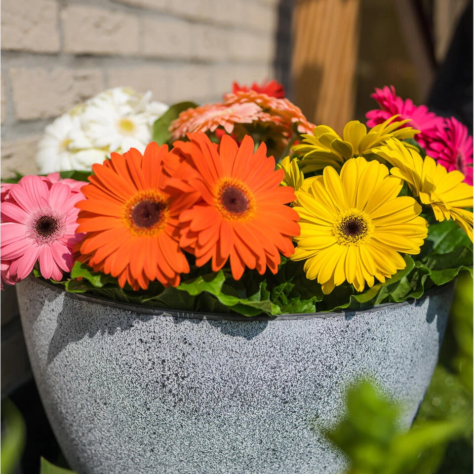 Ter Steege Bloempot/plantenpot - Buiten - Betongrijs - D13/H12 Cm 4 Ter Steege Bloempot/plantenpot - Buiten - Betongrijs - D13/H12 Cm - Afbeelding 2