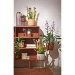 Mica Decorations Plantenpot - Keramiek - Mat Wit - D17,5/H16cm -Groene Hoek 620e70d9ceaa4301a4efb24bc5ca73b5