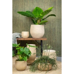 Steege Plantenpot - Keramiek - Beige - 15 X 13 Cm -Groene Hoek 63372b04880147a68ece8b549bc32f93
