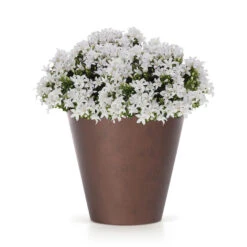 Prosperplast Bloempot - Cortenstaal Look - Brons - Kunststof - 25 Cm -Groene Hoek 6835683e6659455aa8283ed30ff8f979