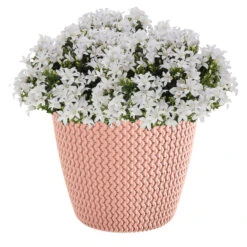 Prosperplast Plantenpot/bloempot - Kunststof - Zalm Roze - D22 X H19 Cm -Groene Hoek 699a86937d9a4a0780b62f7486c0a213