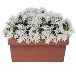 Prosperplast Plantenbak - Kunststof - 79 X 35 X 33 Cm - Terra Cotta -Groene Hoek 6cfa2e3fc8dd44288f455f4893774cdf