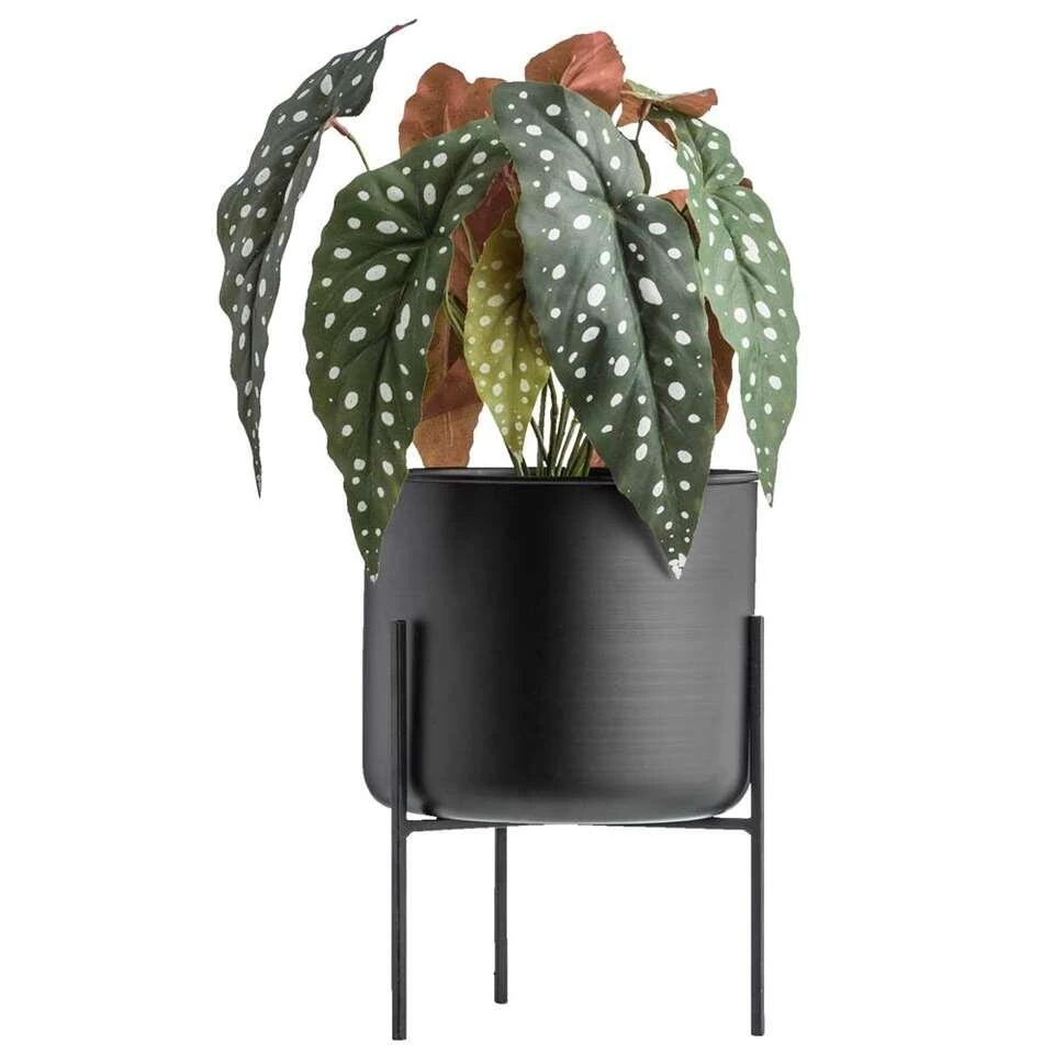 Bloempot Op Pootjes Niek - Zwart - 18/26xØ17,5 Cm 4 Bloempot Op Pootjes Niek - Zwart - 18/26xØ17,5 Cm - Afbeelding 2