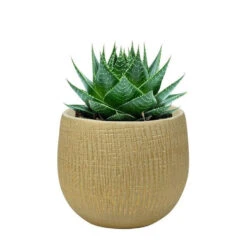 Steege Plantenpot - Keramiek - Beige - 15 X 13 Cm -Groene Hoek 7a84e237915d4667968246dc8051f8db