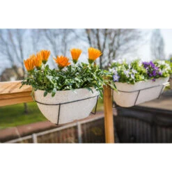 Ter Steege Plantenbak - Balkon - Kunststof - Wit - 36 X 16 Cm -Groene Hoek 7addf3f4d15d4ffa818516a02208c025