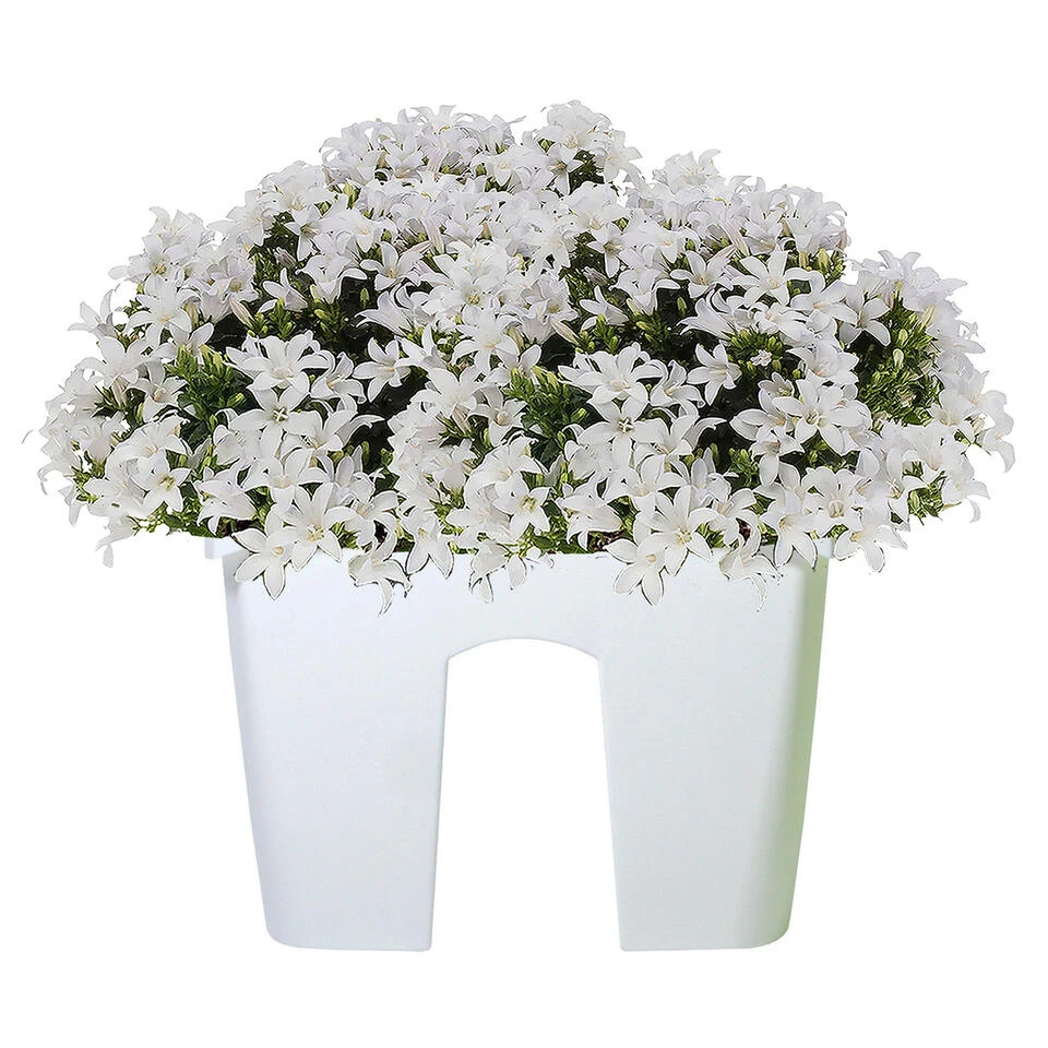 Prosperplast Plantenbak - Railing - Kunststof - 39 Cm - Parel Wit 4 Prosperplast Plantenbak - Railing - Kunststof - 39 Cm - Parel Wit - Afbeelding 2