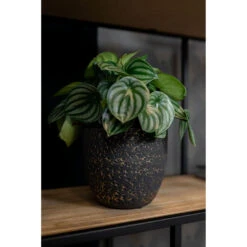 Steege Plantenpot Rinca - Zwart - Lava Look - 21 X 19 Cm -Groene Hoek 808e85d0e92e4bc58044b47fee2b8b0f