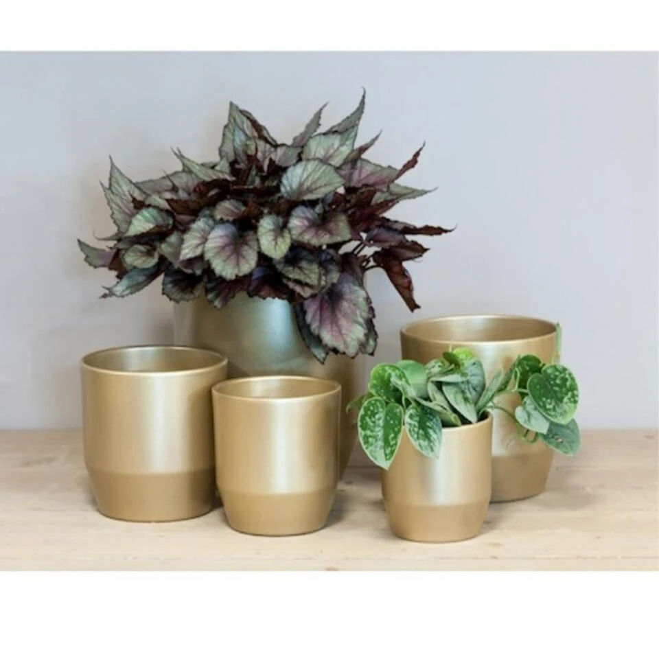 Bela Arte Bloempot - Keramiek - Goud Glans - D19 X H18 Cm 4 Bela Arte Bloempot - Keramiek - Goud Glans - D19 X H18 Cm - Afbeelding 2