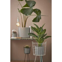 Mica Decorations Era Bloempot - H31 X Ø32,5 Cm - Lichtgrijs -Groene Hoek 84c0dba6ec6145f38efdafdf2e3a33c5