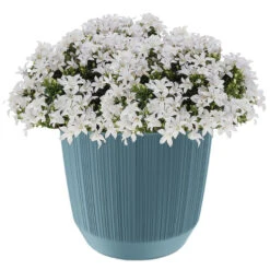 Prosperplast Plantenpot/bloempot - Kunststof - Blauw - D19,5 X H17 Cm -Groene Hoek 872a30af8ee245cab7dac11350015a40