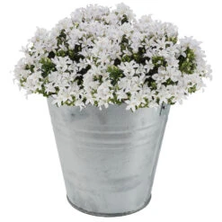 Sorx Bloempot - Zinken Emmer - Zilverkleurig - Met Handvat - 10 Liter -Groene Hoek 879c3076bc674a869ac27903b18f7979