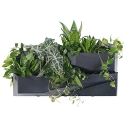 Prosperplast Verticale Tuin - 2x - Plantenbakken - Antraciet - 78 Cm -Groene Hoek 89f330a2890b4604b3288756c3c21cf5