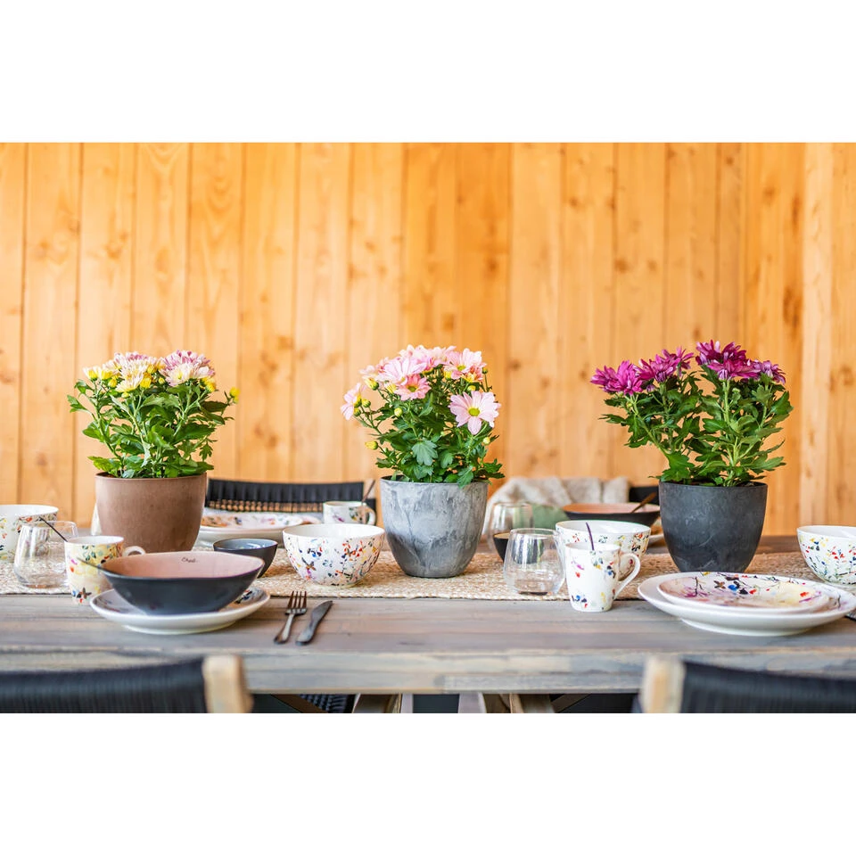 Ter Steege Plantenpot - Betongrijs - Kunststof - 33 X 29 Cm 4 Ter Steege Plantenpot - Betongrijs - Kunststof - 33 X 29 Cm - Afbeelding 2