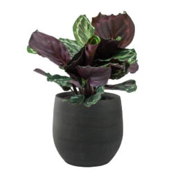 Steege Plantenpot - Moderne Look - Grafiet - 26 X 26 Cm -Groene Hoek 9834a6eede0f493481fe3bf790808d21